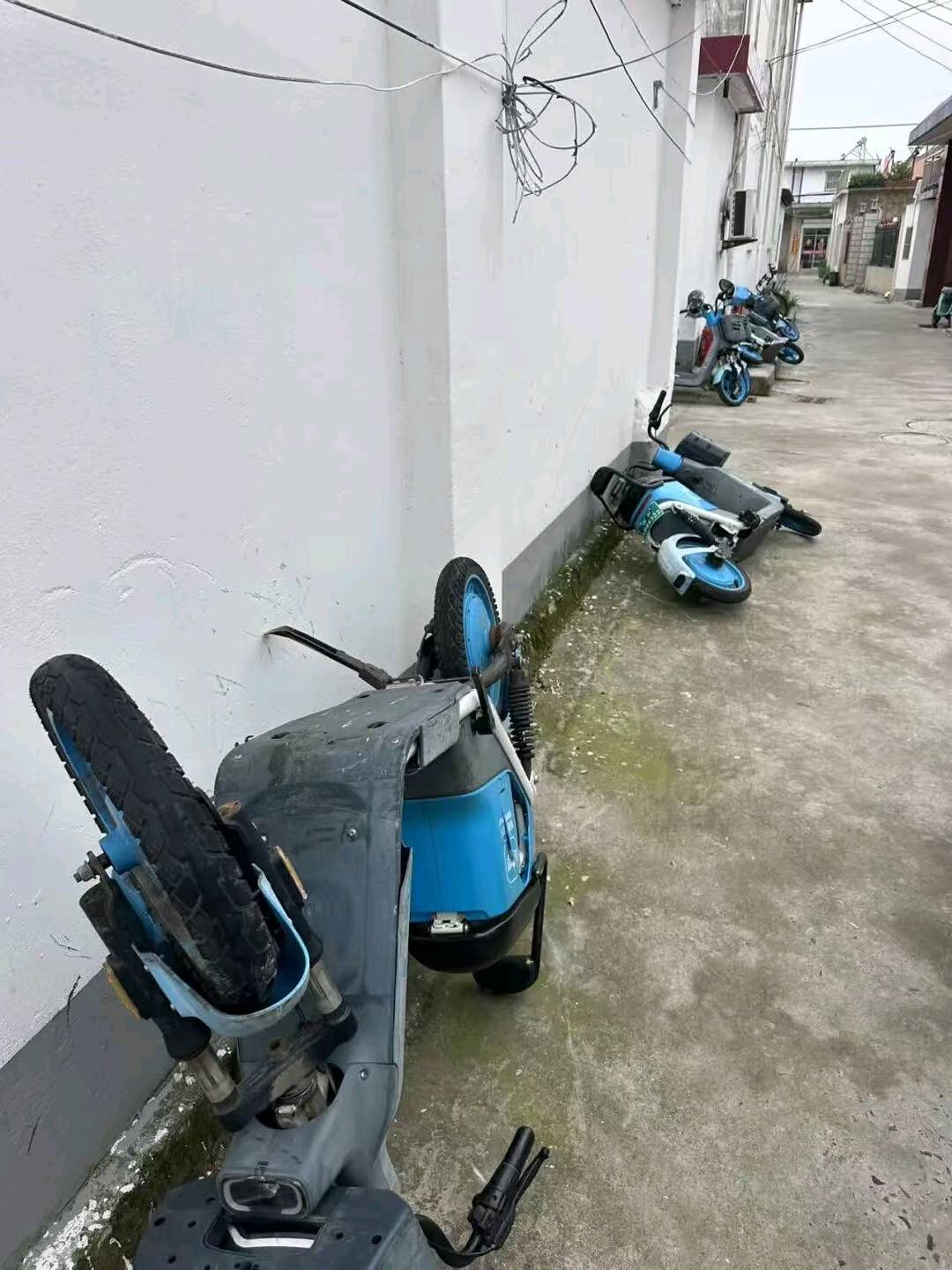 1790675649439_mmexport1790604330476.jpg