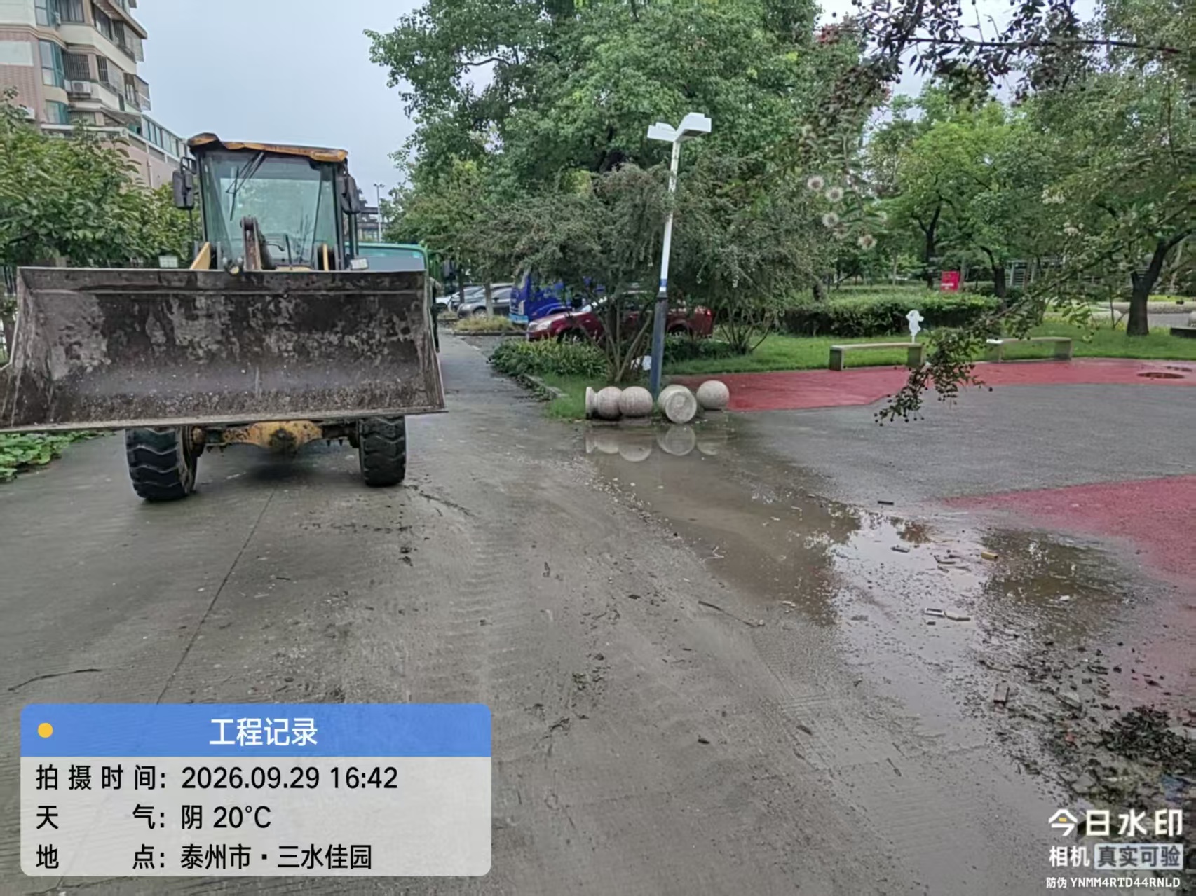 图片.jpg