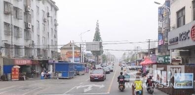 荷叶路西.jpg
