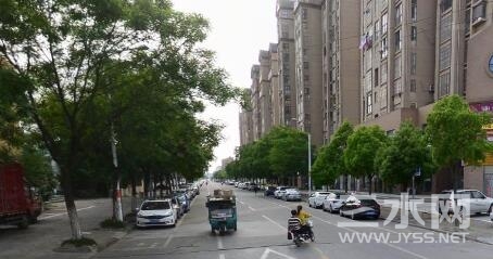 体育路.jpg