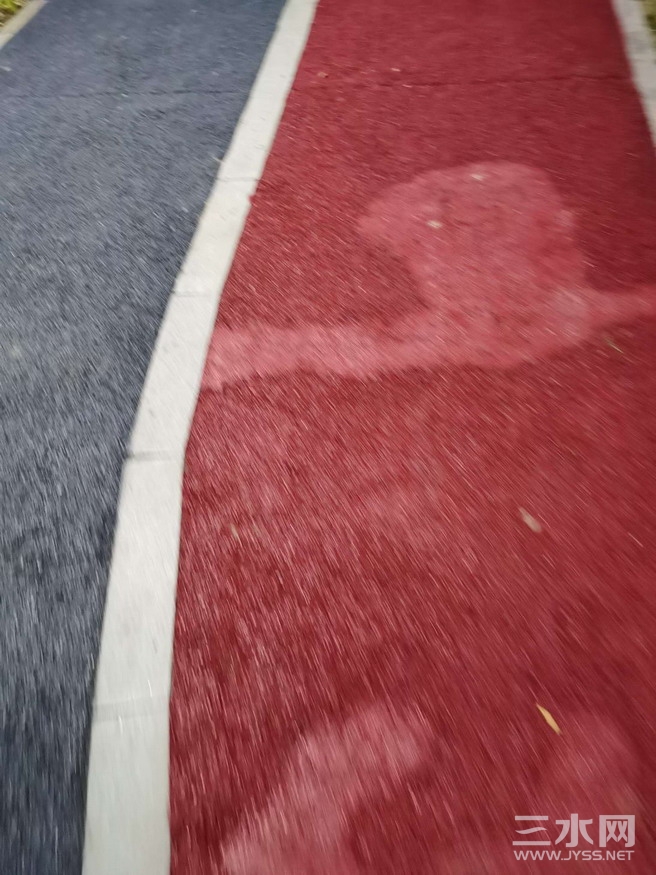3380399348181550436.jpg