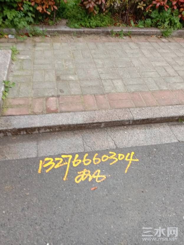 153639jq7vvmr1ivqarv7c.jpg