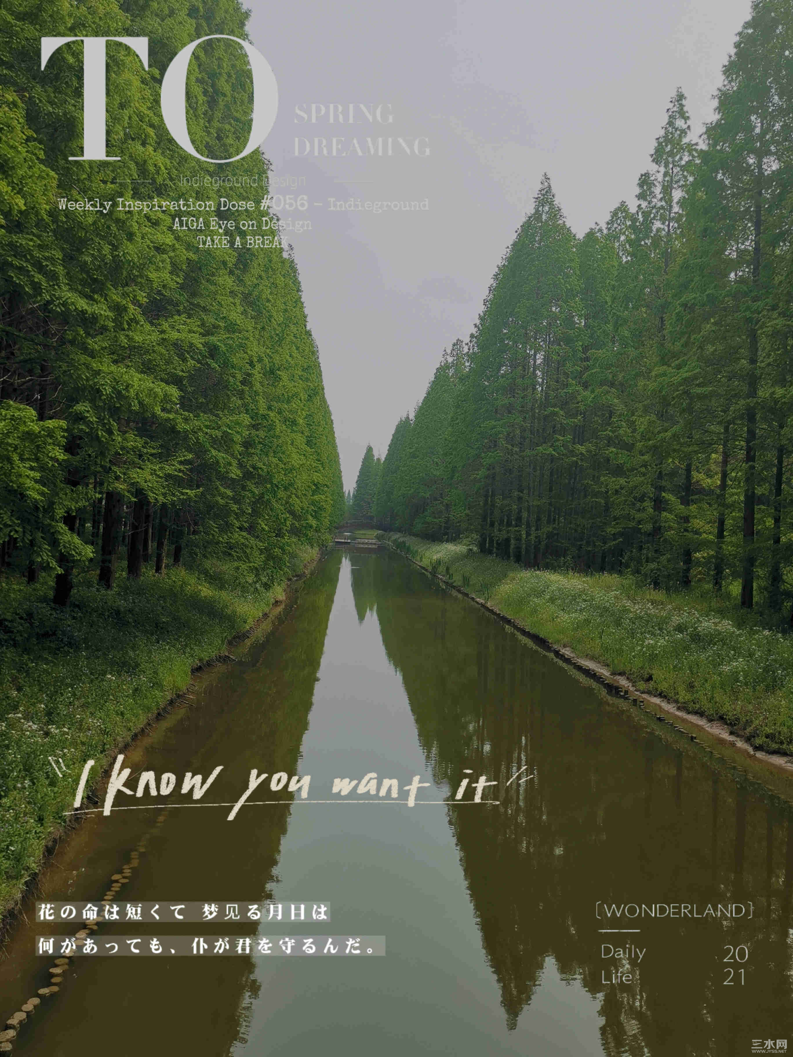 东台黄海森林公园