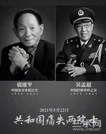 国之栋梁.png
