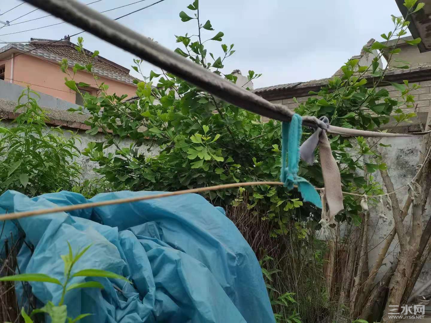 微信图片_20210610115828.jpg