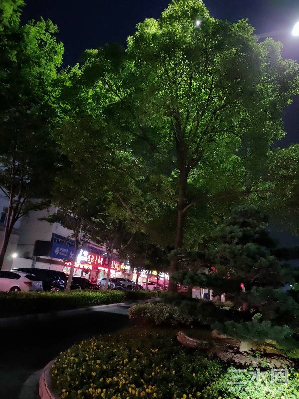 200418nqvrvmv26wsmjqwp.jpg