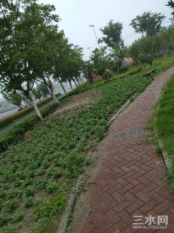 084830vzipk3bqf8qcikii.jpg