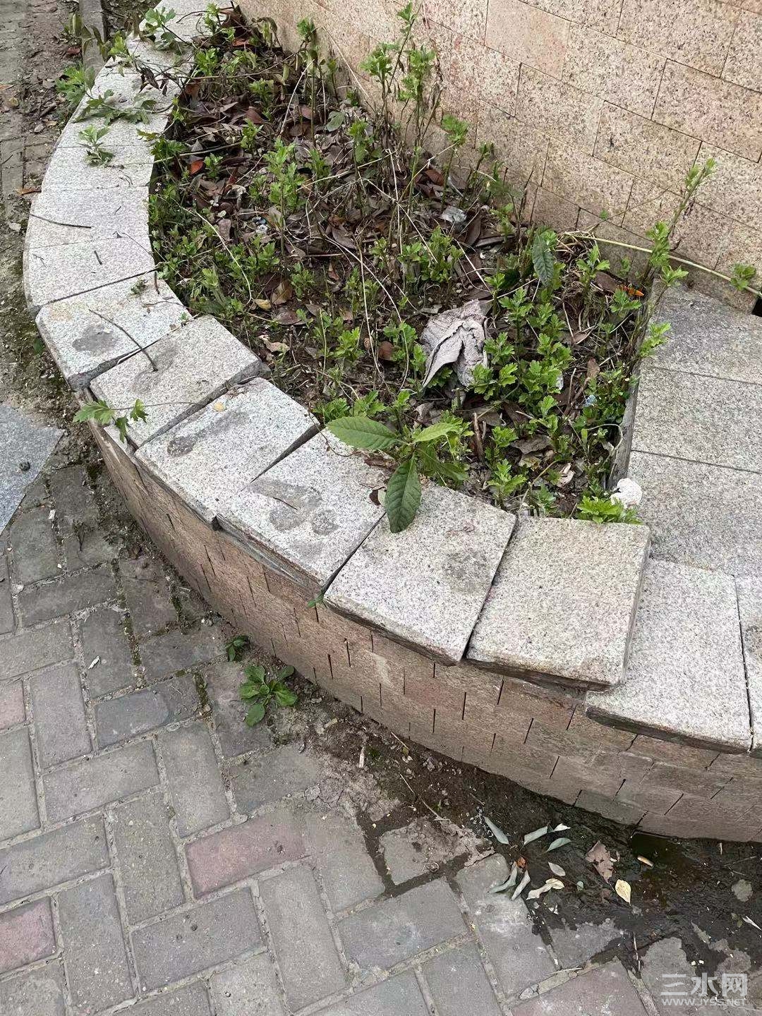 微信图片_20210630093027.jpg
