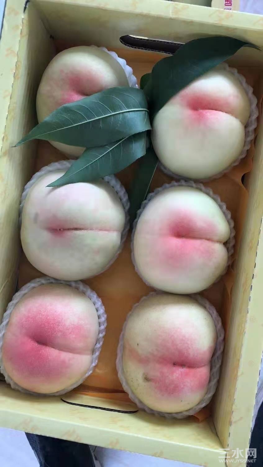 看了馋涎欲滴
