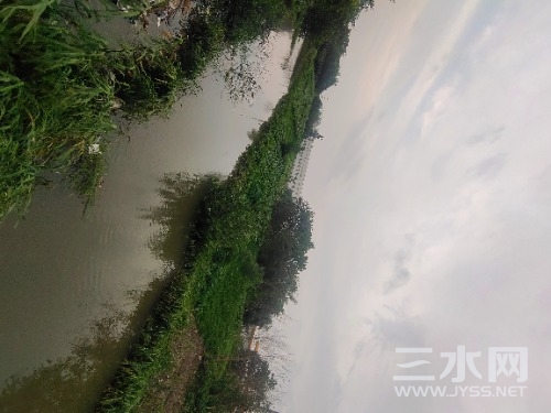 IMG_20210728_181300.jpg