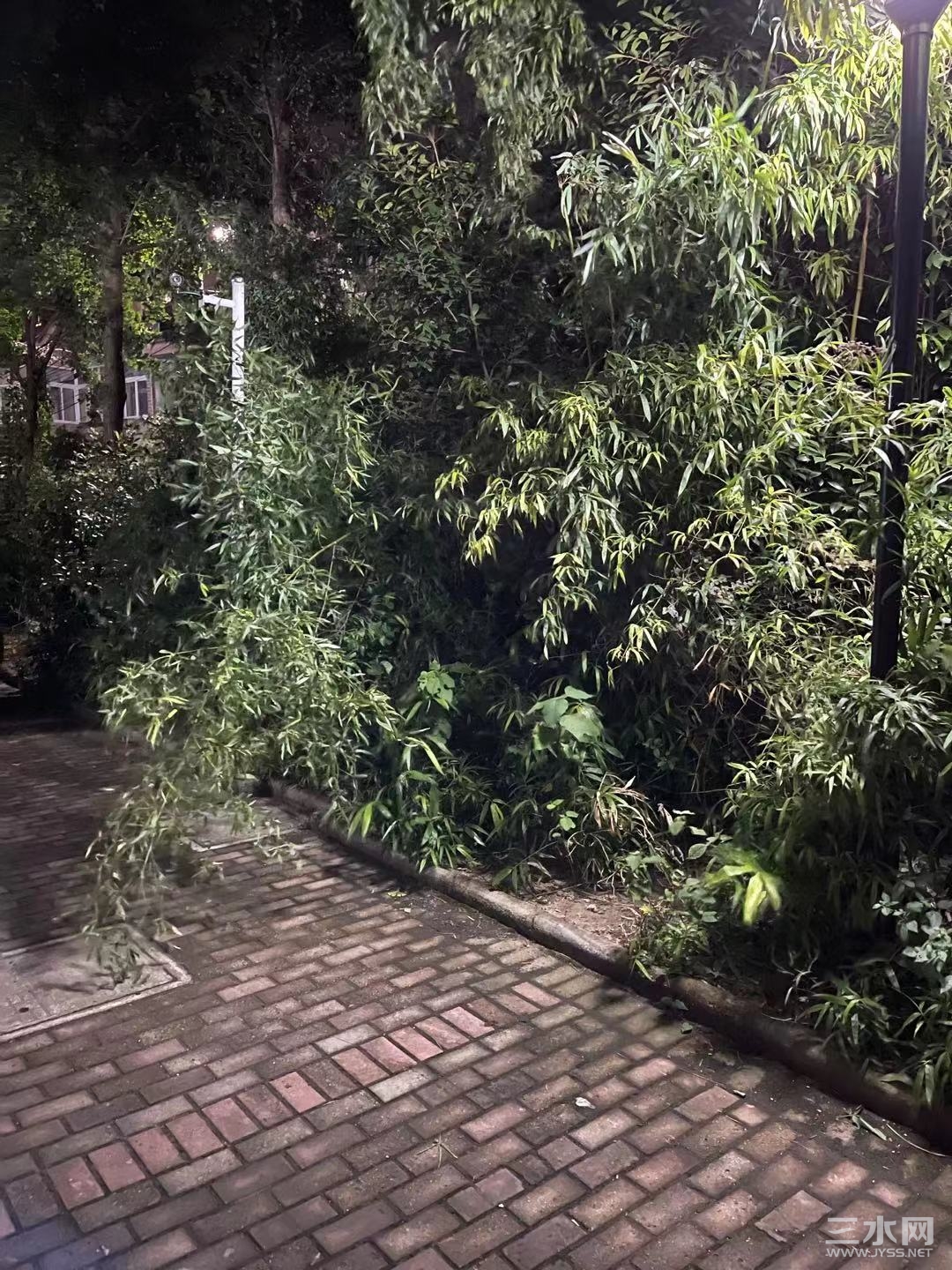 微信图片_20210914205441.jpg