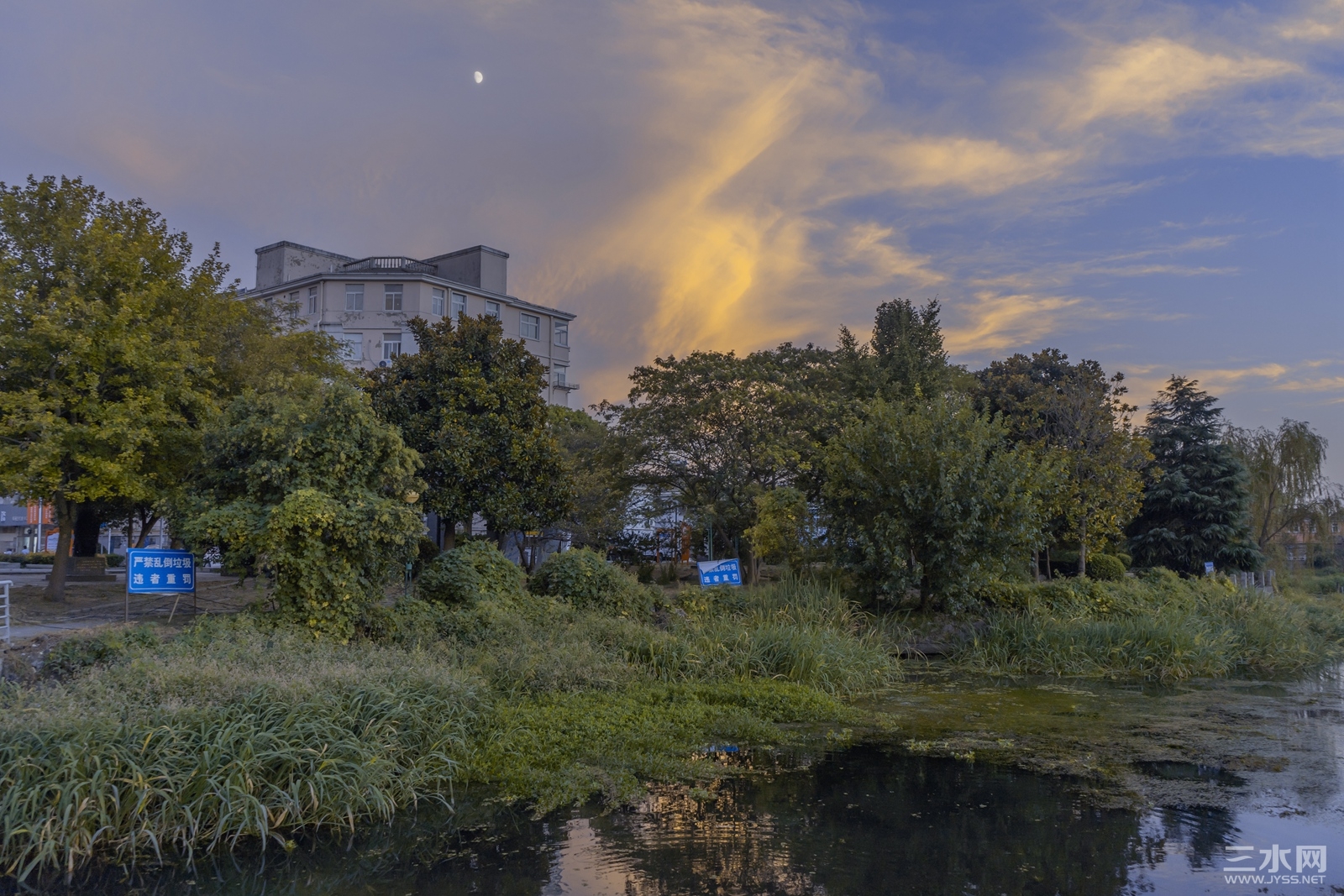 DSC08556.jpg