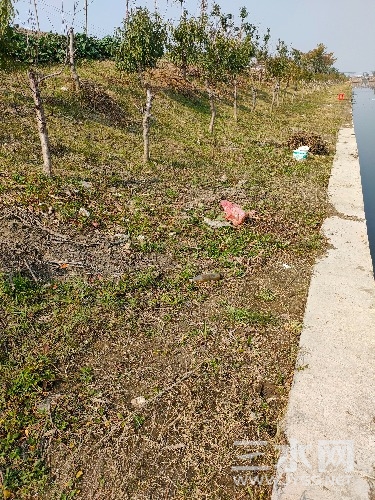 IMG20211030124357.jpg