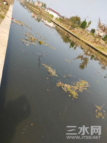 IMG20211030124341.jpg