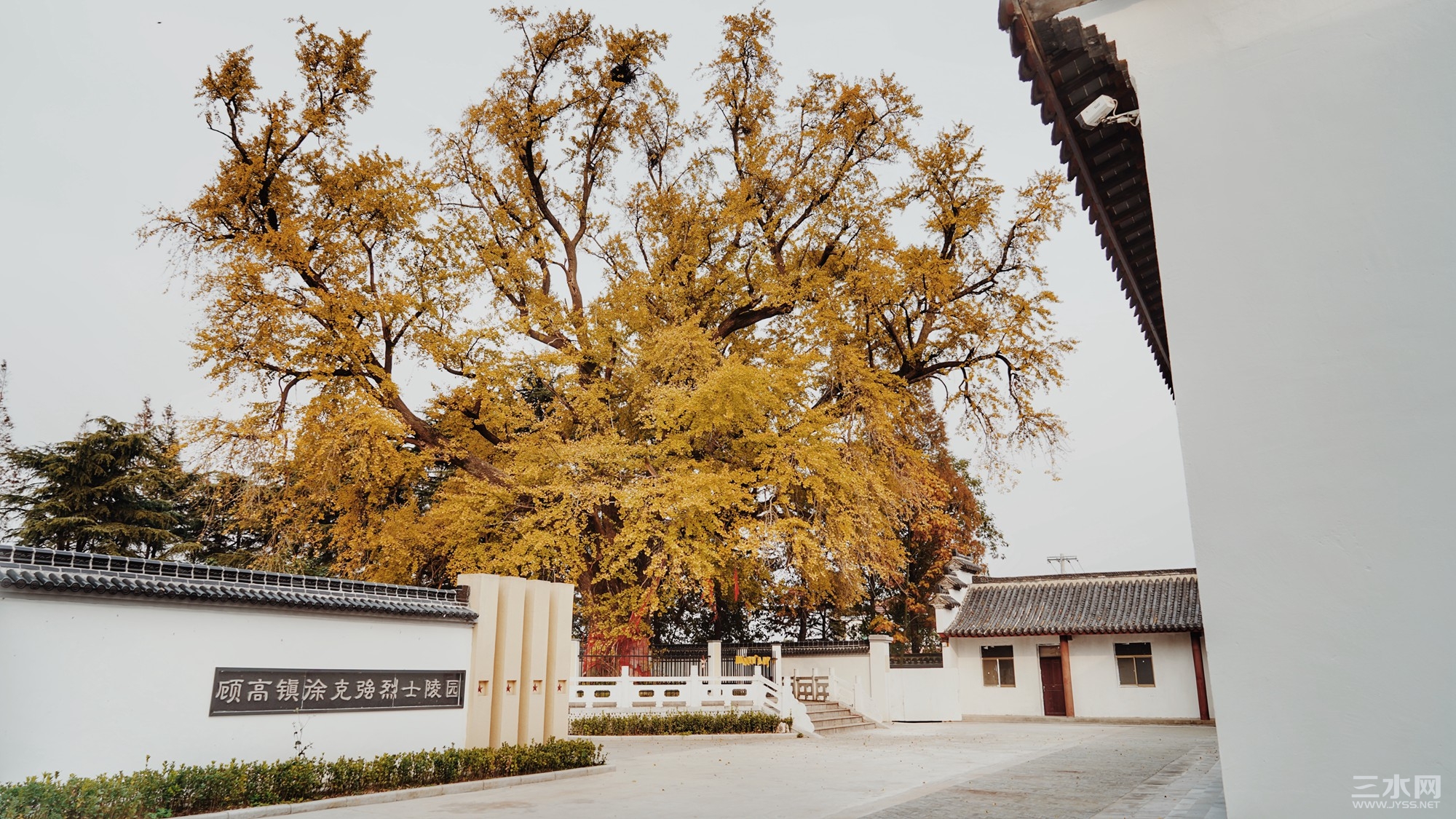 微信图片_20211118122702_副本.jpg