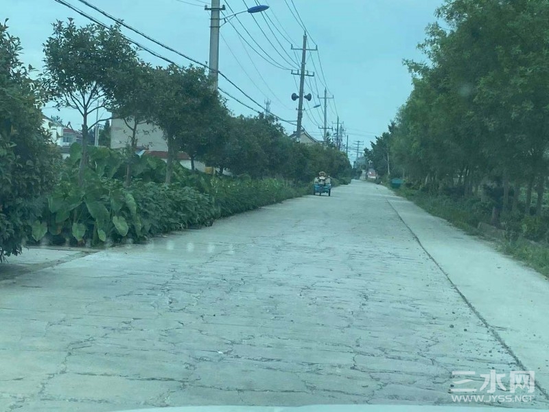路1.jpg