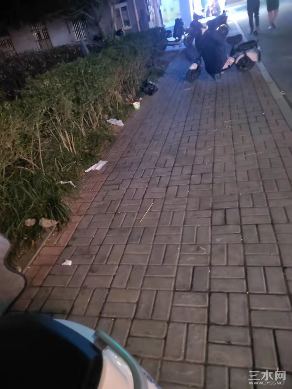 2.jpg