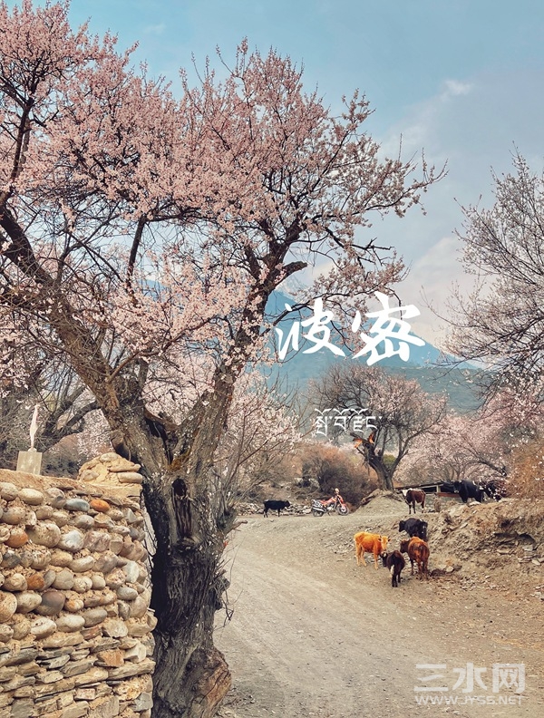 微信图片_20220222194907_副本.jpg