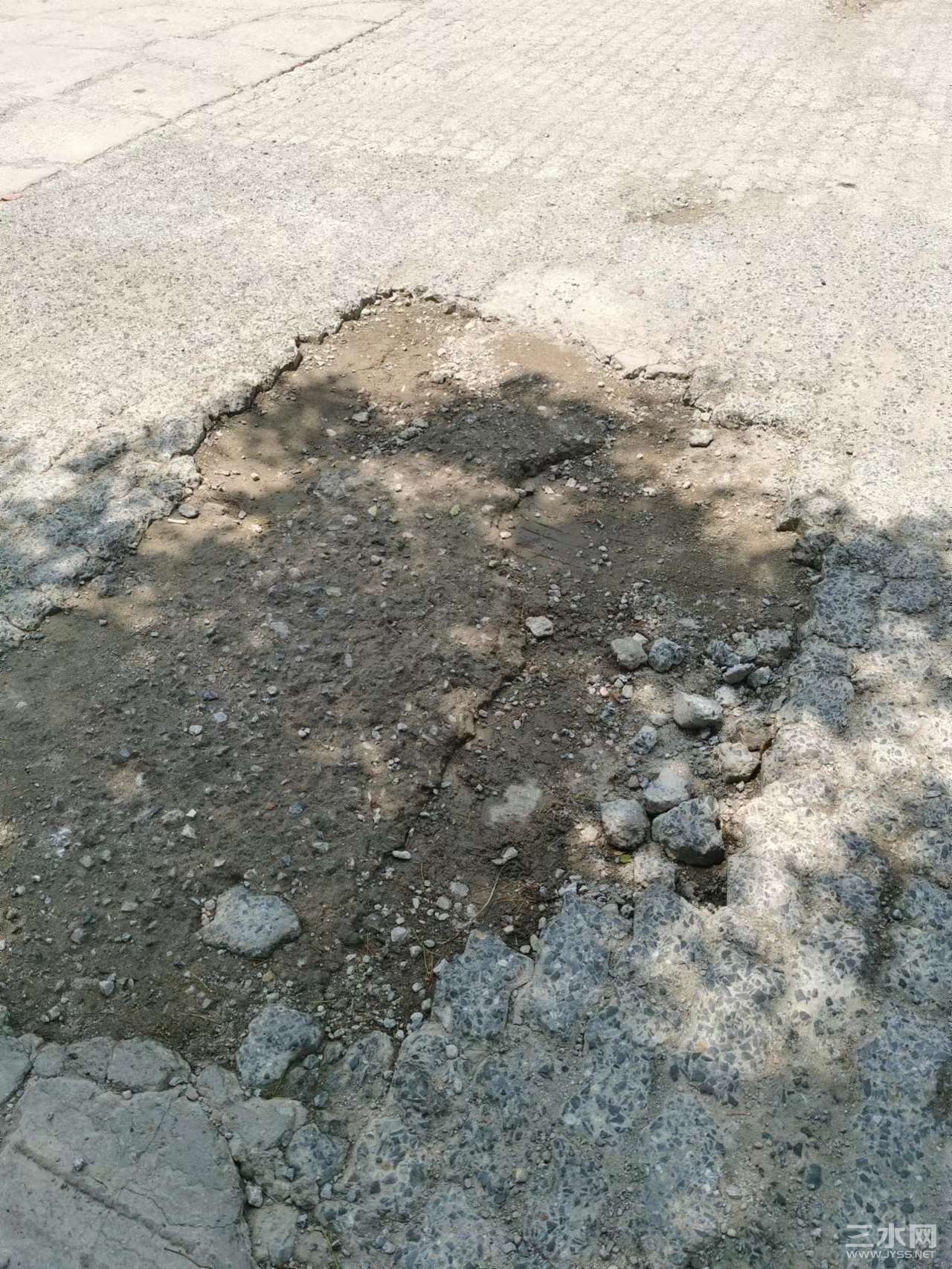 姜堰三水网_20220606_113307.jpg
