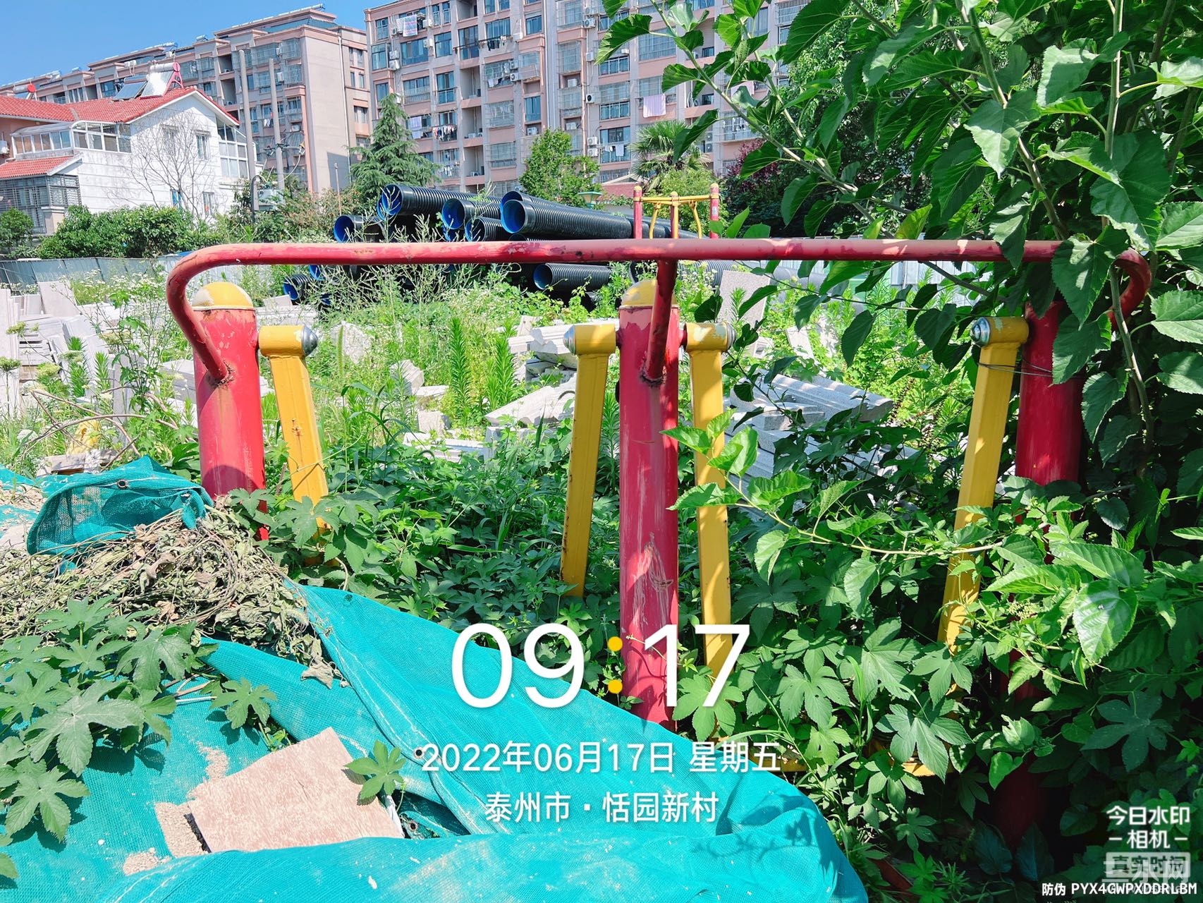 47B2ADD2-8BEF-4C2B-A64A-4DDFB0018FD2.jpeg