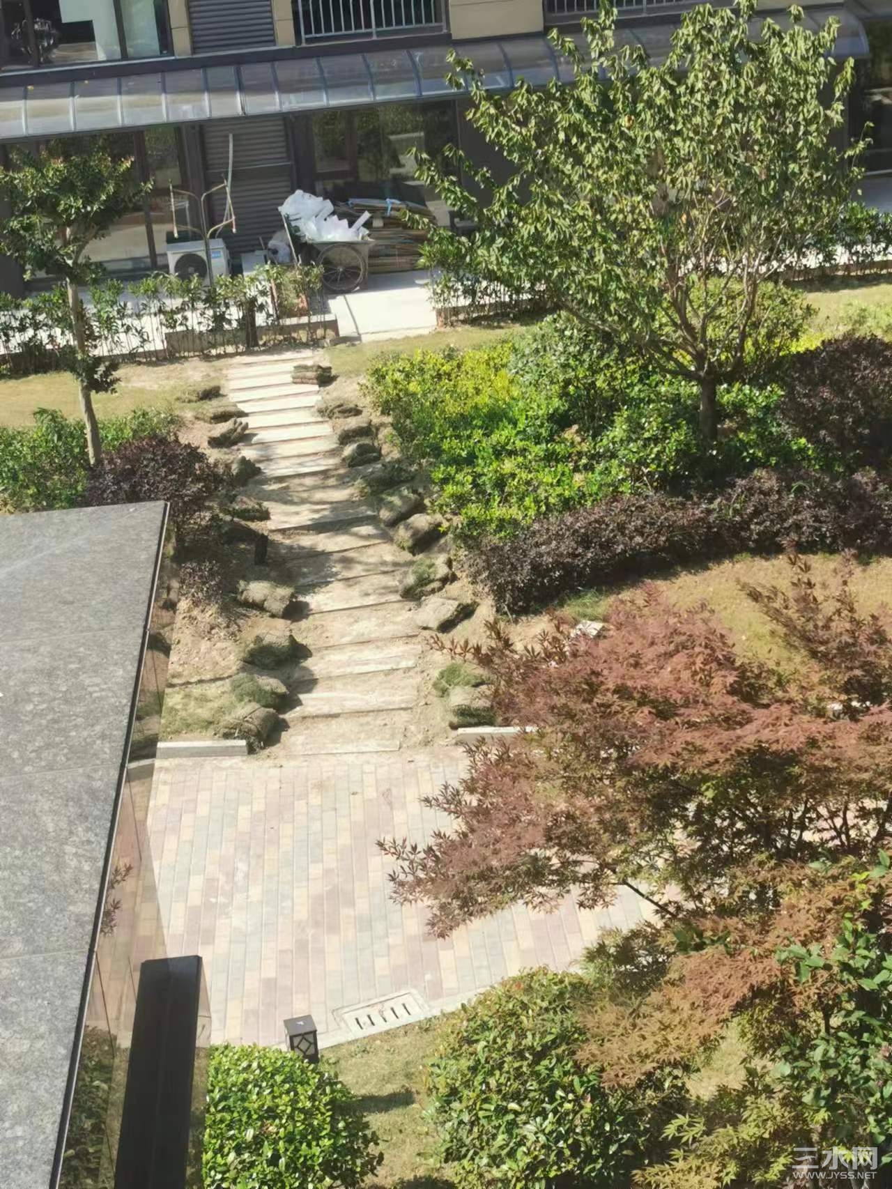 破坏绿化修路