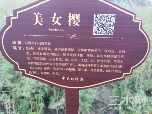 IMG_20220629_185556.jpg