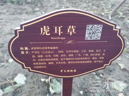 IMG_20220629_185749.jpg