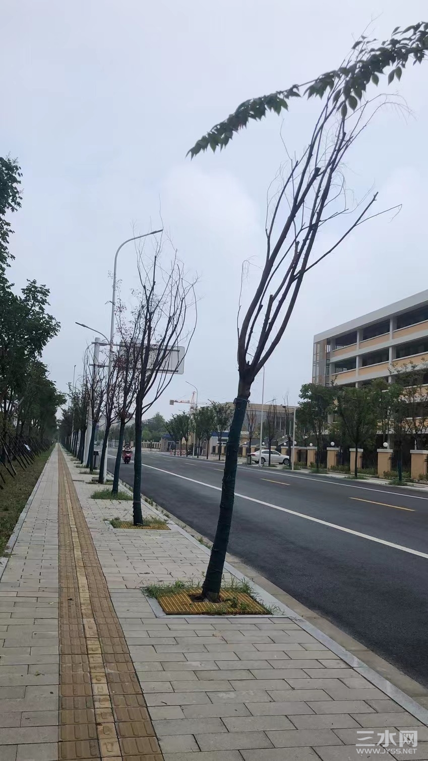 微信图片_20220721180308.jpg