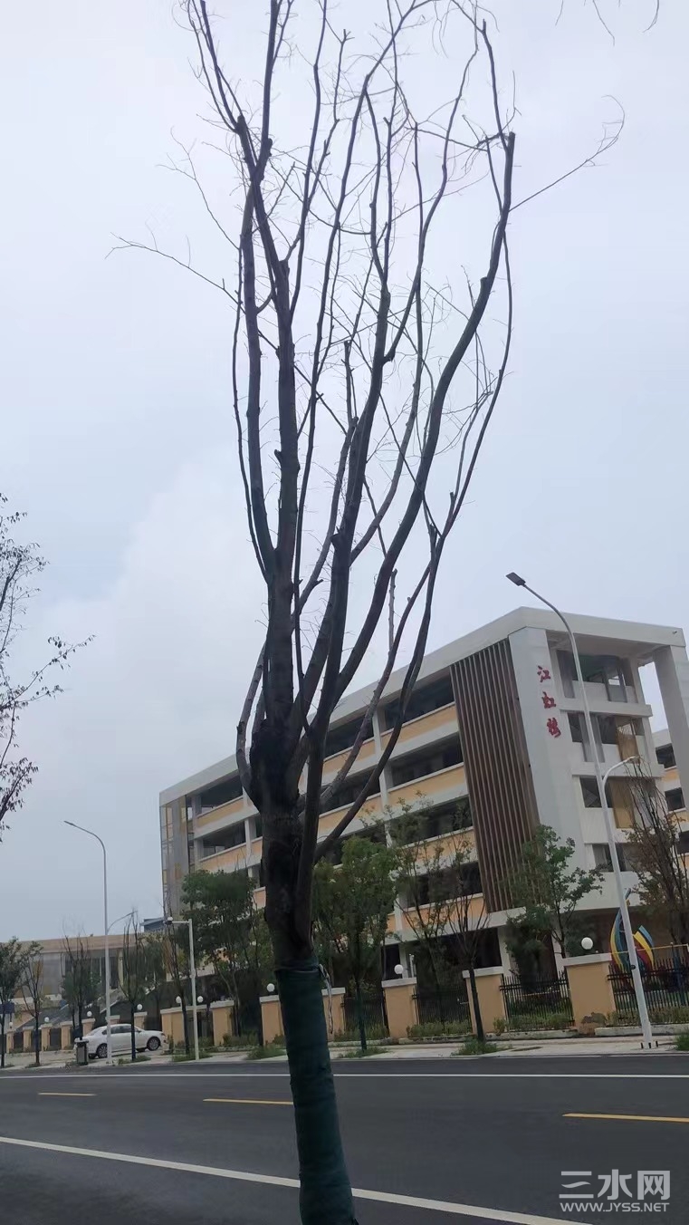 微信图片_20220721180318.jpg