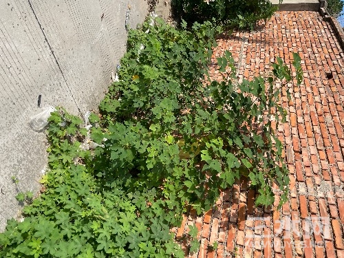 71EE0862-D203-4826-ACB8-5F6C2A6AD5DF.jpeg