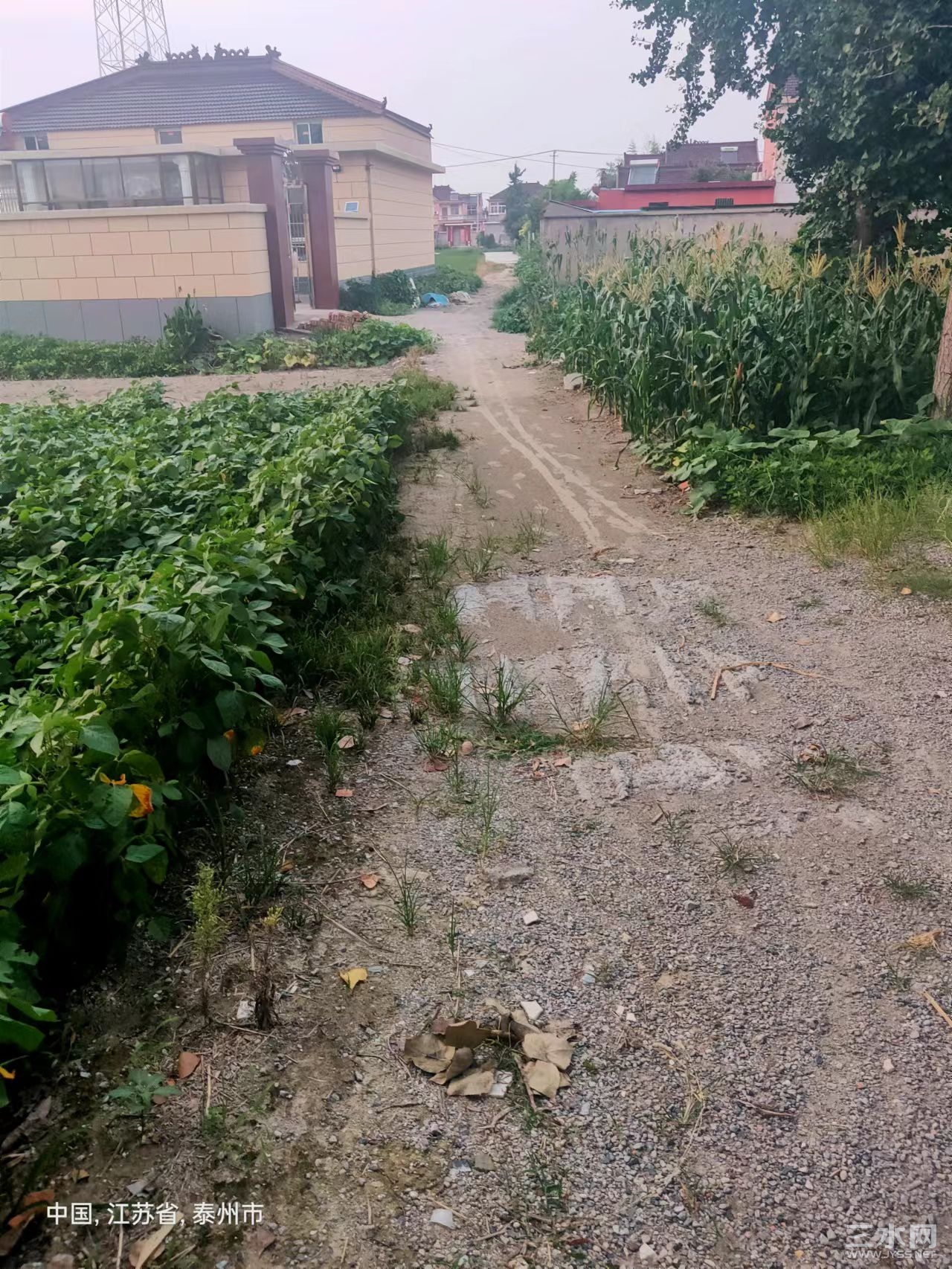 2A6EA105-7548-46F3-ADD8-992AD8D959C3.jpeg