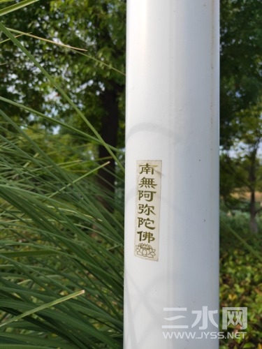 IMG20220812080727.jpg