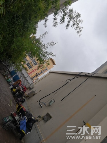 IMG_20220830_105051.jpg