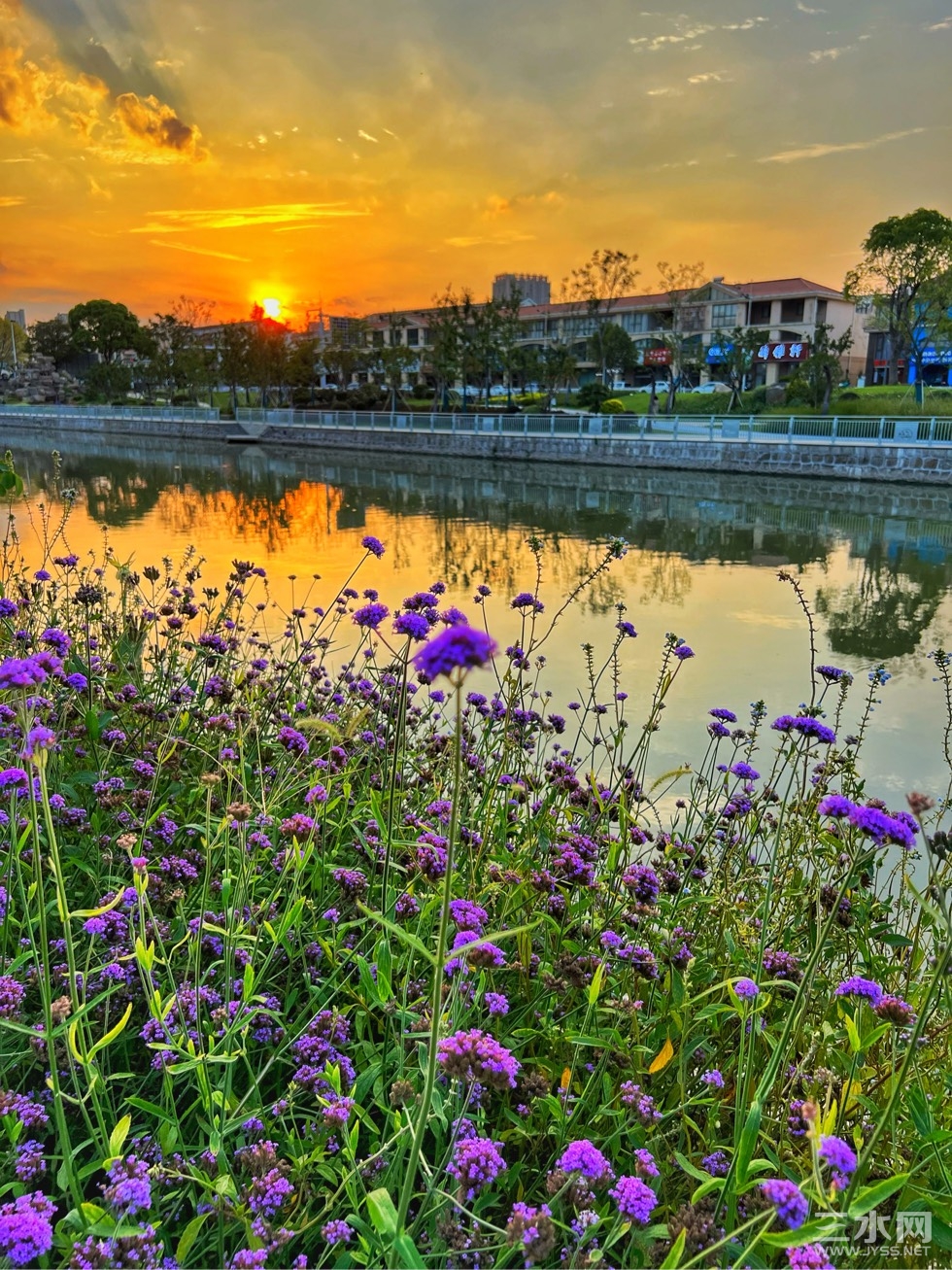213819u5d7558tdml53k5a.jpg