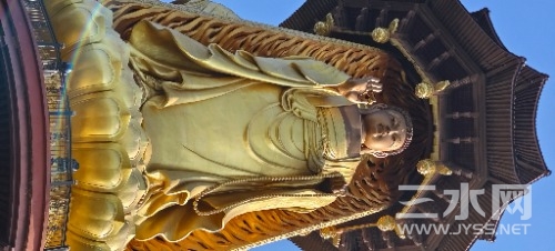 IMG_20230128_150326.jpg