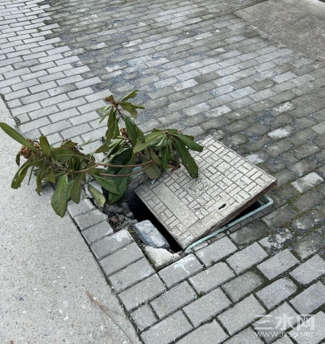 截图20230219193641.jpg