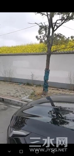 Screenshot_20230321_214434_com.tencent.mm.jpg