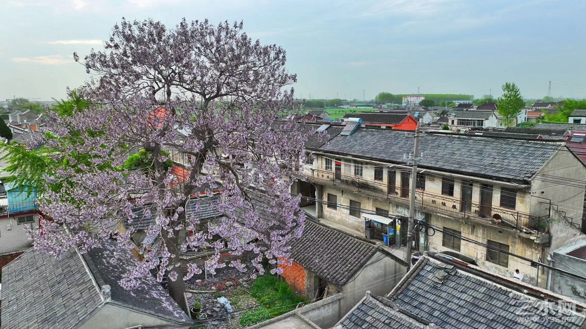 微信图片_20230415220723.jpg
