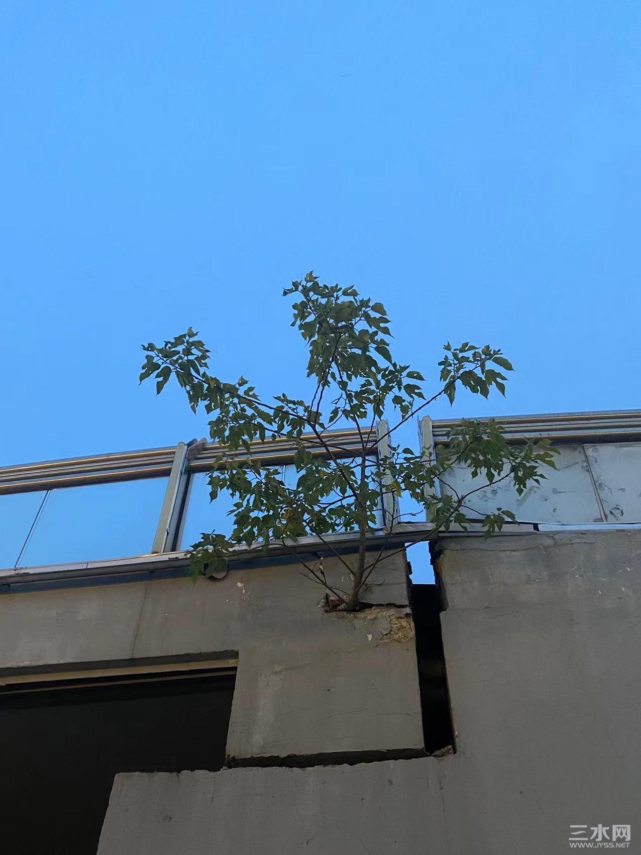 微信图片_20230517082505.jpg