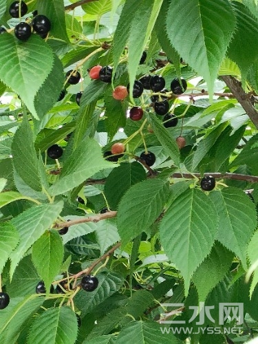 IMG20230518131913.jpg