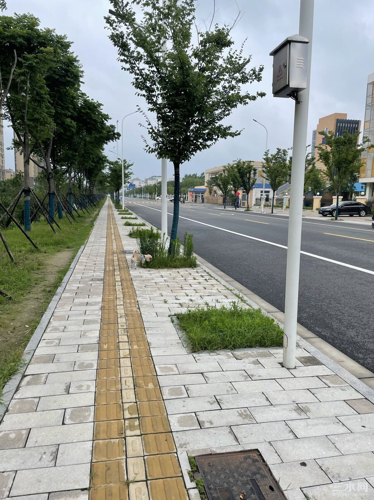 微信图片_20230711145727.jpg