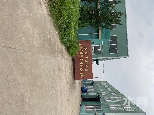 IMG_7051.jpeg