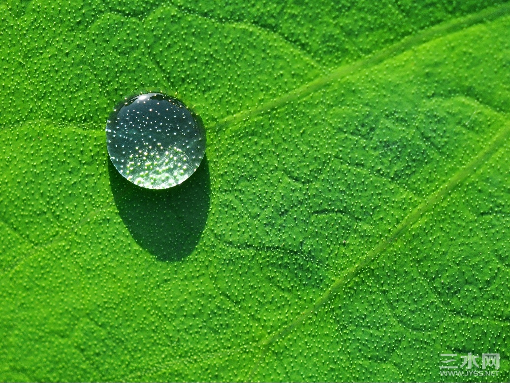 20230724_162432.jpg