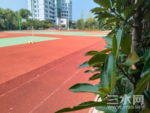 IMG20230817143103.jpg