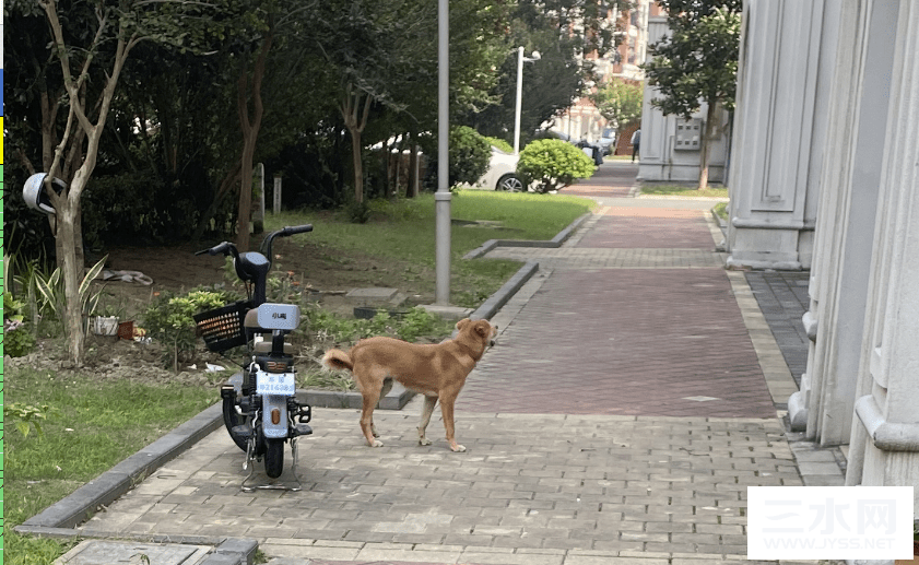 不栓绳