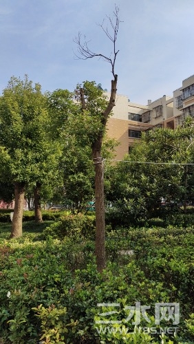 wx_camera_1698212544053.jpg