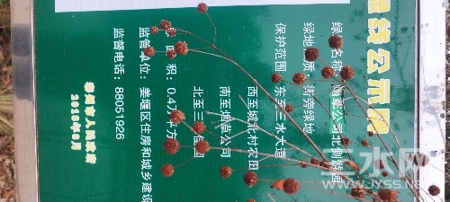 IMG_20231109_144818.jpg
