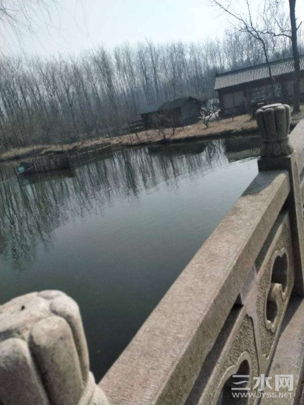 104543pvniza000zec0cd5.jpg