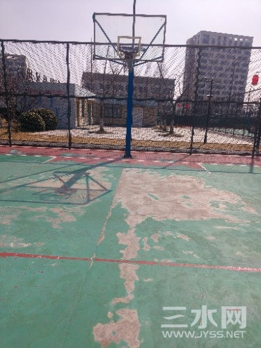 IMG20240303130116.jpg