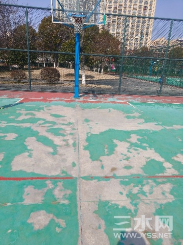 IMG20240303130023.jpg